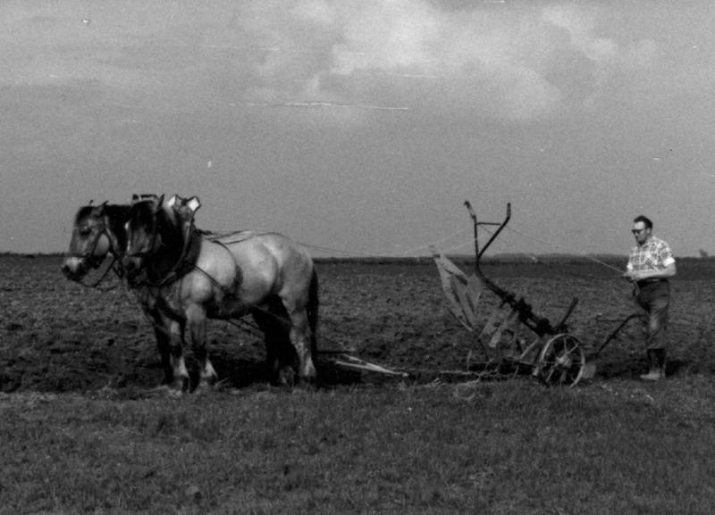 50er Jahre Bild Nr.213